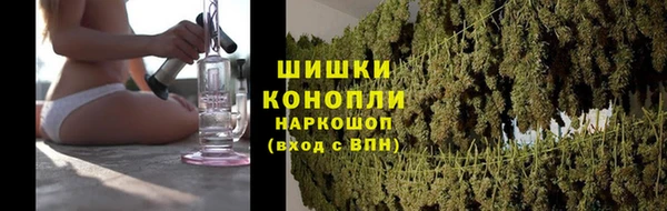 гидра Баксан